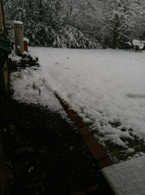 dark snow yard garden dusting photo