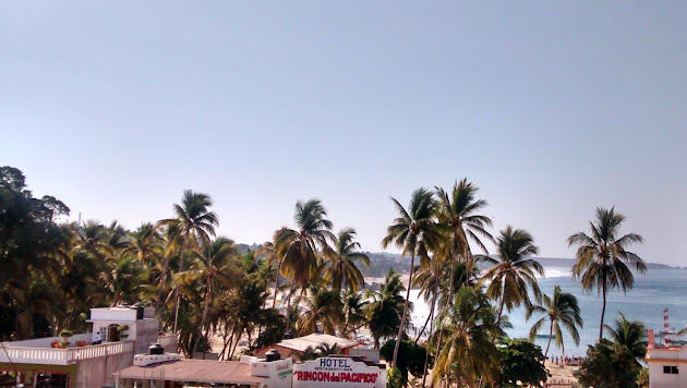 Cover photo