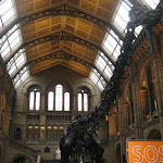 Londres: museum d'histoire naturelle Londres: museum d'histoire naturelle
