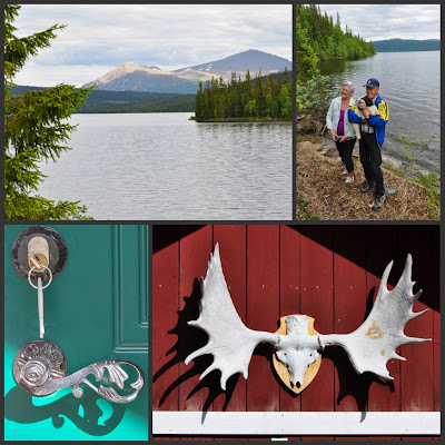 collage of images as described