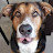Amy Dunlap avatar image