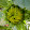 Irmgard Brottrager - Architektur Irmgard Brottrager - Architektur's profile photo
