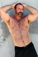 Golden Standard of Red Hot Daddy Hunks