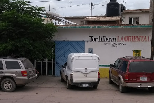 Tortilleria La Oriental, Cd Canatlán - Nuevo Ideal, Plutarco Elías Calles, 34453 Canatlán, Dgo., México, Restaurantes o cafeterías | DGO