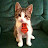 Martha Allison avatar image