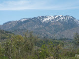 DSCF0557.JPG