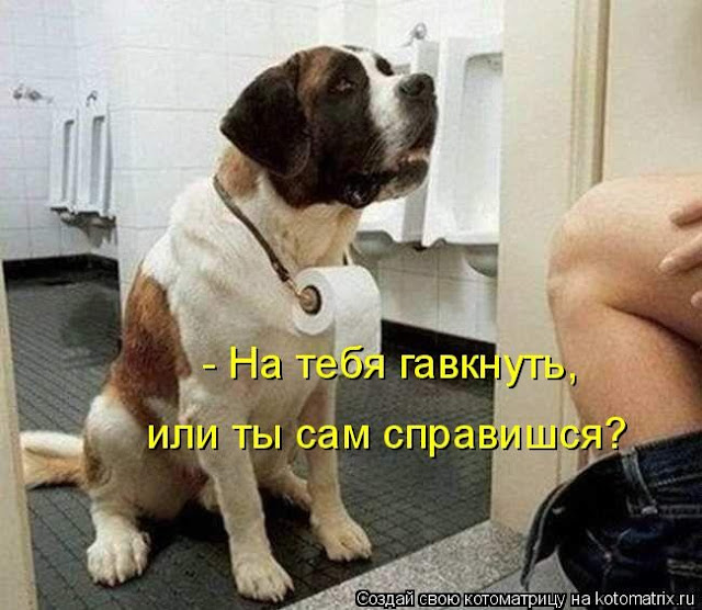 Ни дня без улыбки. Если ваш мужчина… Ни дня без улыбки. Если ваш мужчина…
