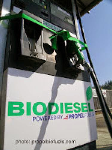 Using Bio Diesel In Your Car