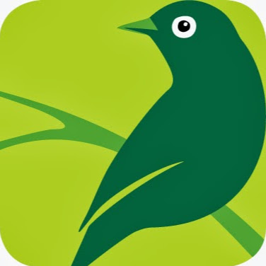 Silvereye Learning Resources