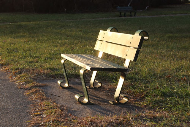 a park bench catching late-afternoon sunlight