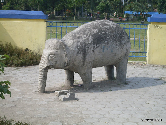 sang gajah