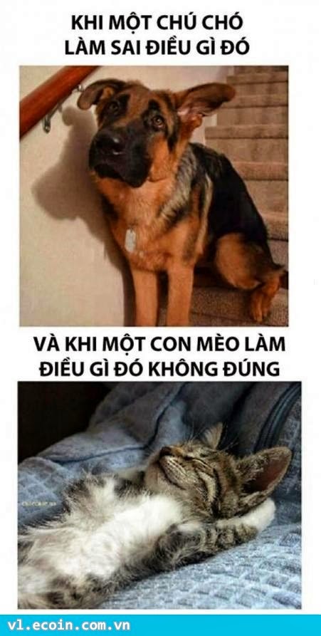 E giờ là đang phân vân không biết nên làm kiểu gì cho ngon đây :D