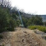 Walking down Farm Ridge Trail (289444)