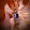 Joseph Trinh Joseph Trinh's profile photo