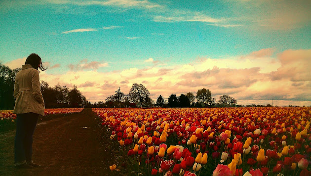 Cover photo