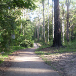Paved section of service trail  (24859)