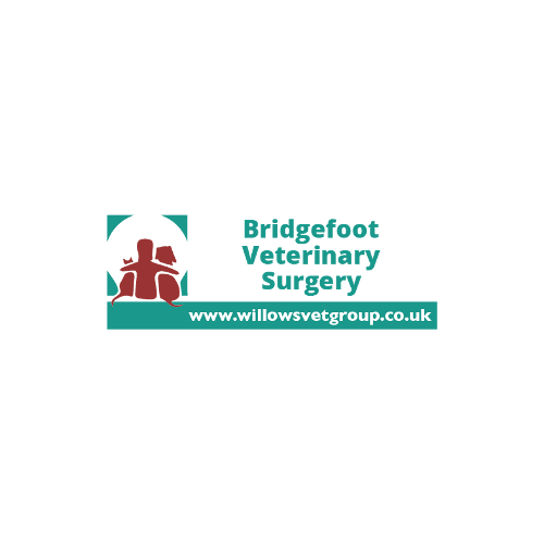 Bridgefoot Veterinary Surgery logo