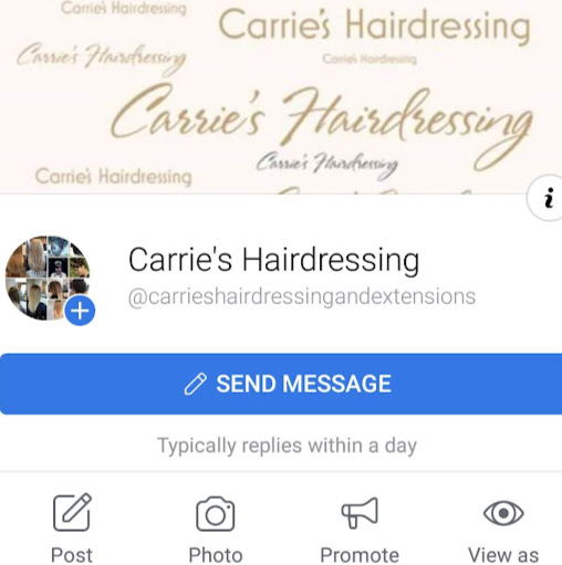 Carrie's Hairdressing logo