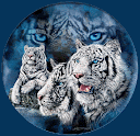  imagem animada de tigre branco