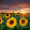 Amelia L V Amelia L V's profile photo