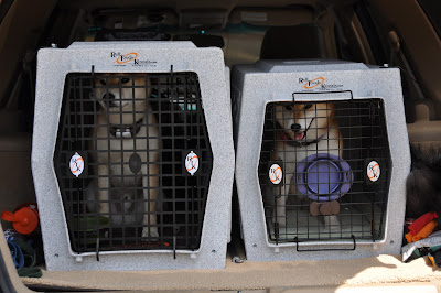 Ruff Tough Kennels Dog Crate - The Nihon Ken Forum (日本犬 ...