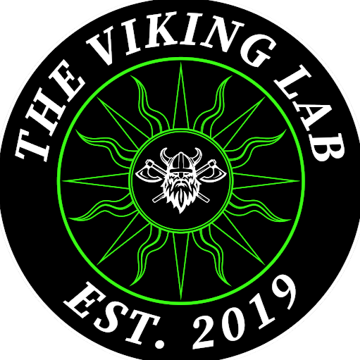 The Viking Lab logo