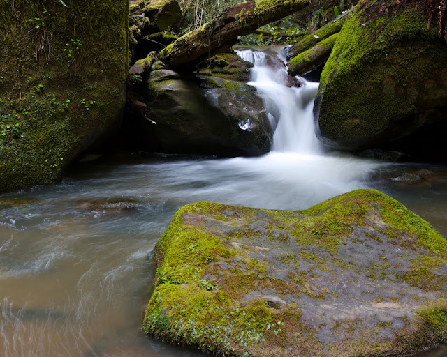 timms creek timms creek