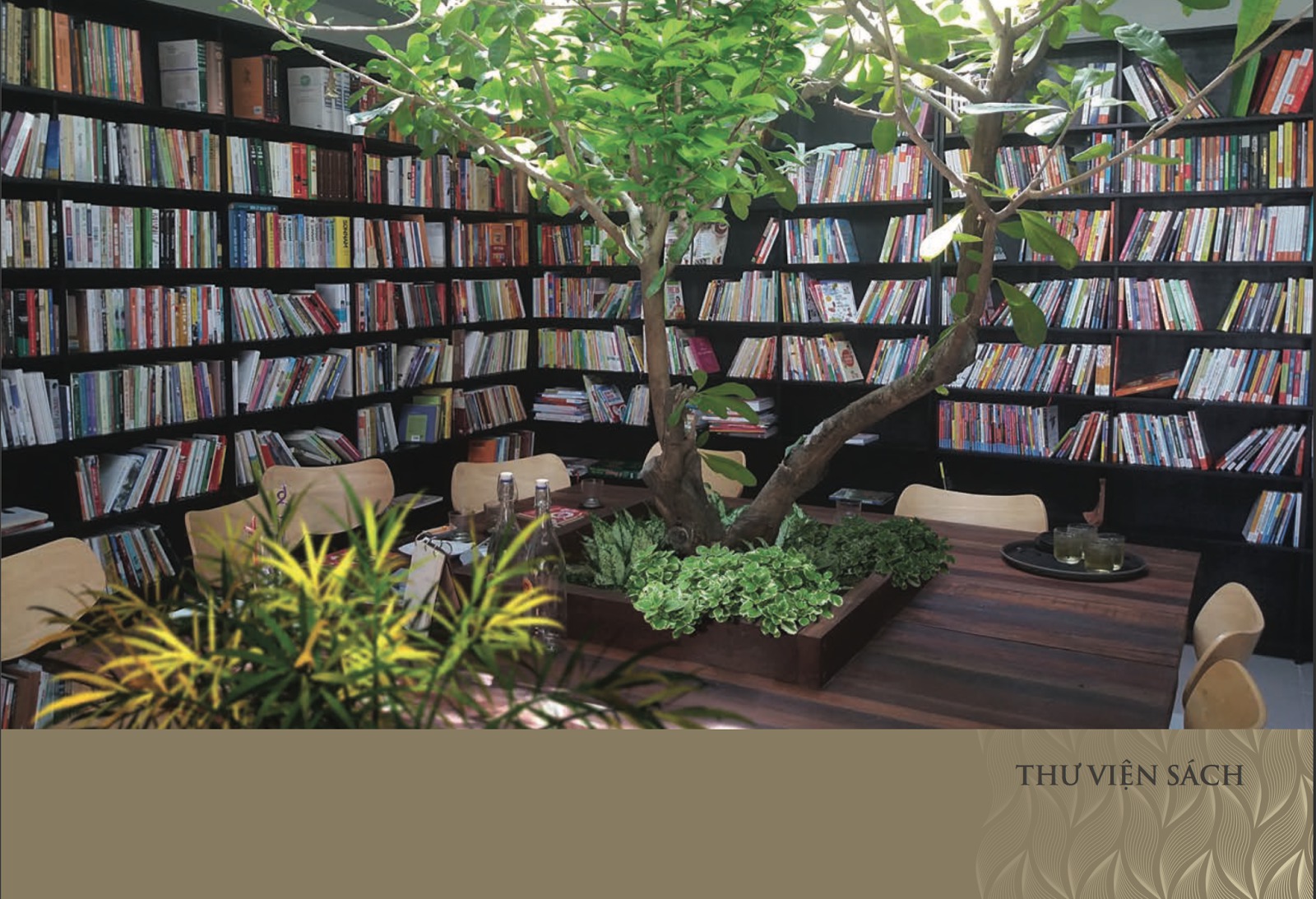Thư viện sách Núi Trúc Square Thư viện sách Núi Trúc Square