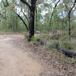 Nepean Lookout fire trail (150357)