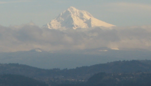 Cover photo