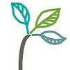 Meadowsweet Herbs & Flowers logo