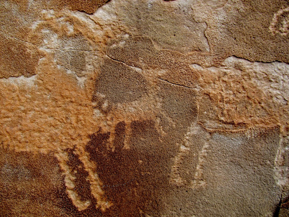 Possibly another dog with bighorn sheep