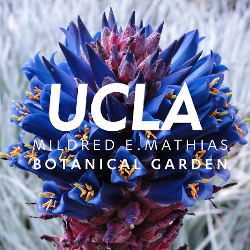 UCLA La Kretz Garden Pavilion & Event Venues
