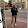 carlo tompetrini carlo tompetrini's profile photo