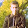 Mohandes Zalatan Mohandes Zalatan's profile photo