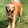 Jeanne Boerner Jeanne Boerner's profile photo