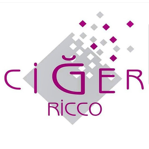 Ciğer Ricco Edirne Tava Ciğeri logo