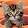 Hangchao You Hangchao You's profile photo