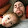 Todd Stephens Todd Stephens's profile photo