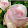 Beate Mieslinger Beate Mieslinger's profile photo