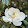Heather Milks Heather Milks's profile photo