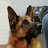 Karen Bell avatar image