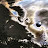 Mick Raimann avatar image