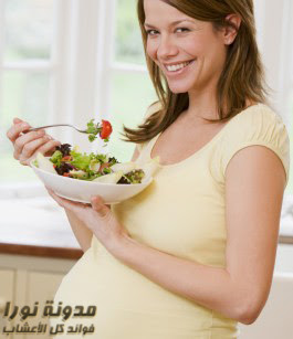 إحذري هذه الأطعمه أثناء فترة الحمل 1327141384k3126s-265X307