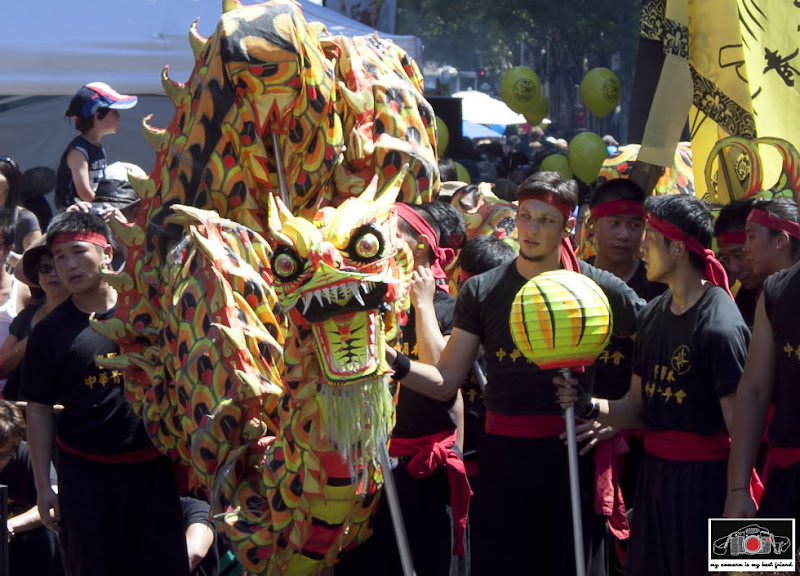 Chinese New Year_2012_Dragon