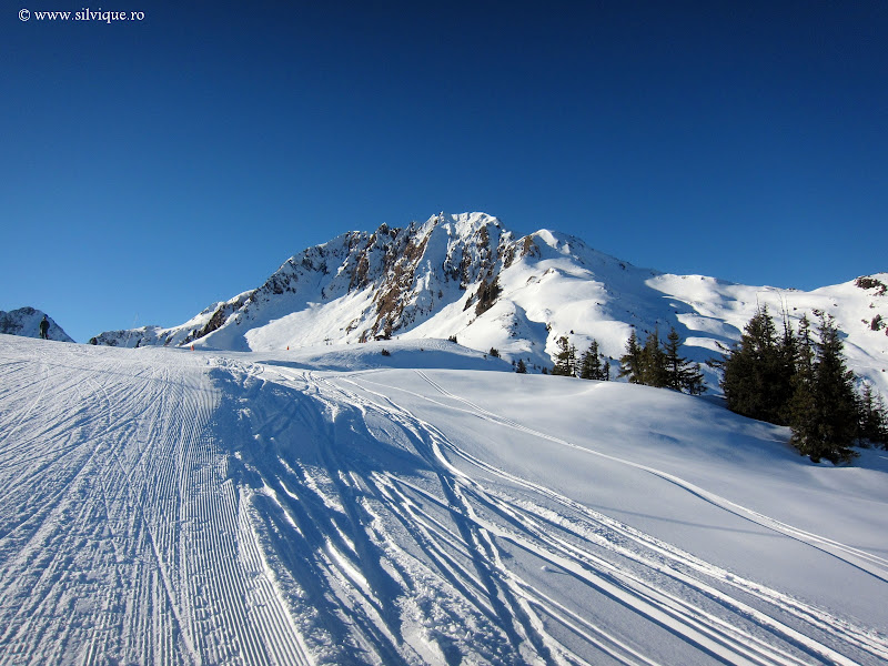 2014.01.12 - Kitzbühel - Tabara de schi a lui Ion Trandafir