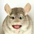 Rhaiam Hamsterson