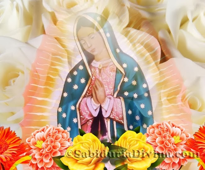 ¡Virgen de Guadalupe, Ruega por nosotros!