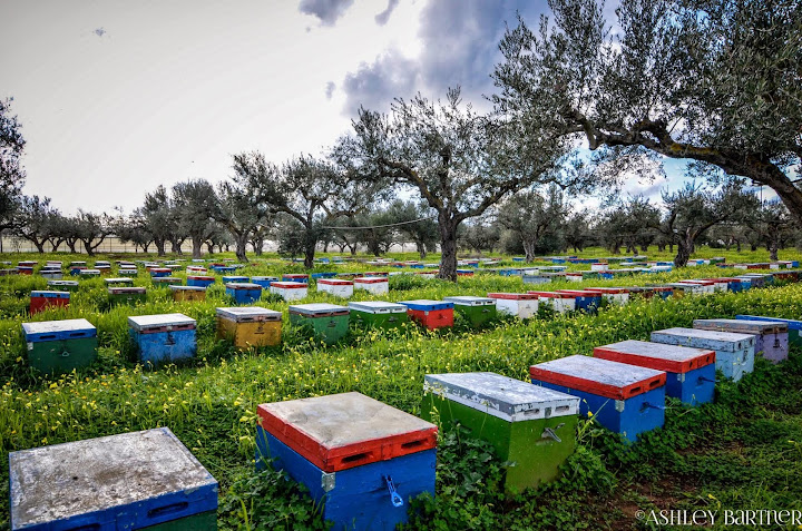 Colorful Beehives. Exploring the Mani, Southern Peloponnese, Greece