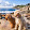 Ken Cogger Ken Cogger's profile photo